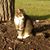 Karen Steidl's profile image