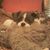 Barbara Garcia Cano Gerlach's profile image