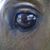 Wendie Stevens's profile image