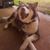 Amanda Wheeler's profile image