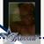 Nicola Jones's profile image