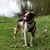 Leah Bird Cotton's profile image