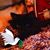 Cindy Roden Fox Brown's profile image