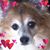Kelly Muranaka's profile image