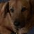 Julie Myer's profile image