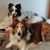 Rachael Maves McKenzie's profile image