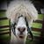 Debbi Ungerman's profile image