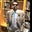 Harsh Mantri's profile image