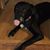 Diane M Rollie's profile image
