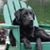 Christine Santoro's profile image