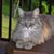 Nancy Stevens's profile image