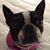 Sue Smithers's profile image