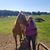 Pam Gregory Robinson's profile image