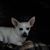 Gale Holt's profile image