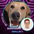 Cathieanniejeff McWhirter's profile image