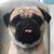 Catherine Marie's profile image