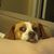 Cody Colwell's profile image