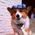 Dede Conner's profile image