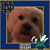 Amy Farrier Gross's profile image