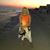 Tana Flannery Scarberry's profile image