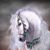 Eunice Webster's profile image