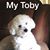 Patty Eckman's profile image