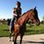 Kathryn Henningson Brune's profile image
