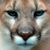 Stephen Fry's profile image