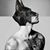 Josele Hache's profile image