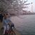 Suzanne Wright Nelson's profile image