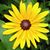 Tina Schneider's profile image
