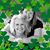 Tabitha Ouellette's profile image