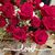 Tricia Spitler La Fountain's profile image