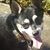 Karen Jarnagin Criswell's profile image