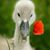 Ellen Plavner's profile image