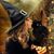 Lisa Polo's profile image