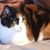 Jacqui Giovinazzo's profile image