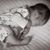 Jennifer Carlson Miller's profile image