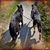 Helen Stieben's profile image
