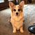 Ann Albers's profile image