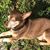 Valerie Ann Loiocano's profile image