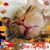 Mayra Enid Rivera's profile image