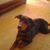 Beth Meixel's profile image