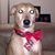 Heather Etchison's profile image