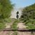 Alirio Francisco Amado Campins's profile image