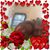Shirley Gourlie's profile image