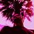 Wesley Hales's profile image