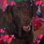 Nancy Catlin's profile image