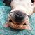 Mascha Guit-Muts's profile image