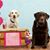 Carolyn Green's profile image